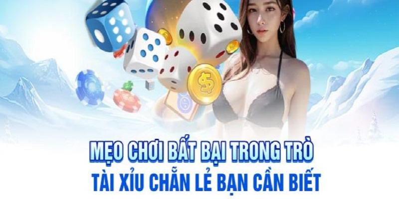 Kinh nghiệm chơi tài xỉu chẵn lẻ cho tân binh thắng lớn