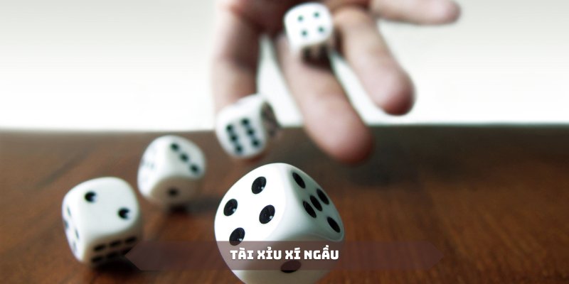 Tài Xỉu Xí Ngầu